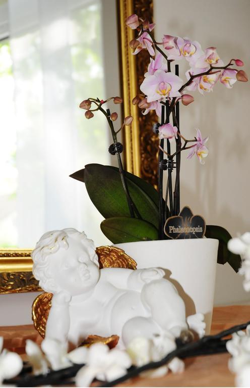 Hotel Blankenese Hamburg Ngoại thất bức ảnh